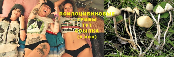 дурь Балабаново