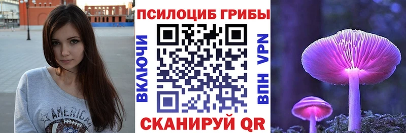 Галлюциногенные грибы Psilocybine cubensis где продают Семилуки